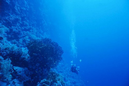 Egypte, Bonaire, Filipijnen, Malta,...